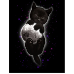 Moon cats:3