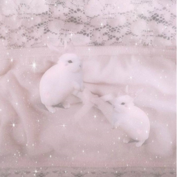 ✧･ﾟ: *✧･ﾟ:*