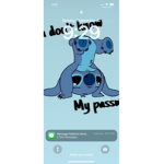 Stitch14