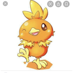 Pollos de corazón :3