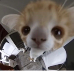 xkittyluvmeow