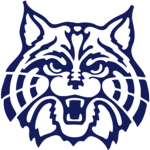 Wildcat Studios