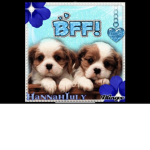 Good bffs for a big life