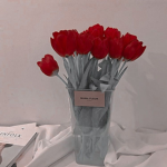 {~Eunoia~}
