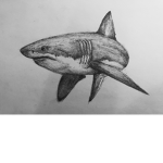 Parasitic ocean