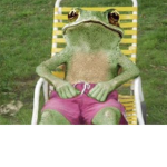 FROGGOS:DDD