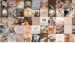 •Xngels<3•