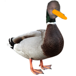 YeBoiBluur