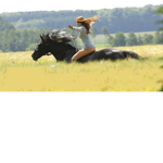 John et Sarah <3