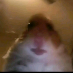 Tzigaras7