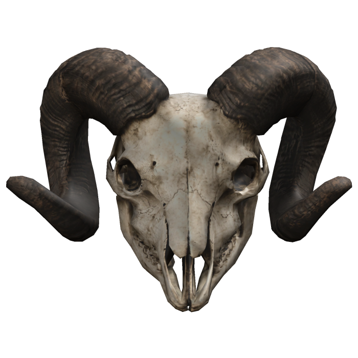 Ram Skull