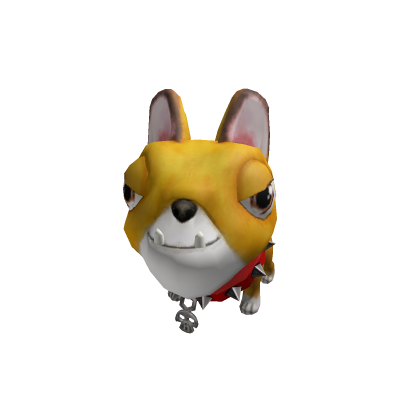 Pet Momo