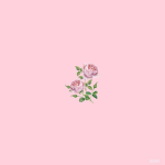 pinkcloudzz