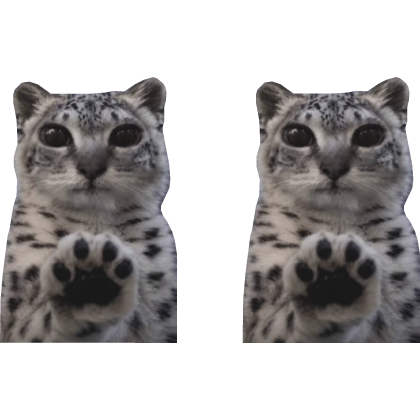 meimei bodyguards | paws at you snow leopard cat
