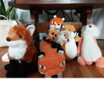 FOXES FOR LIFE!!!!!!!!!!