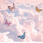 ButterflyEdge