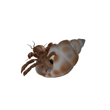 Hermit crab killer