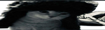Cinna’s Icons
