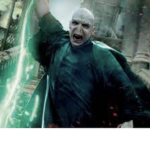Voldemort fan group