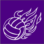 Purple Panthers Volleyball