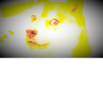 the dog and fox group subscribe
