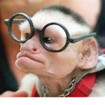 Monke Dev
