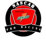 Nascar Pro Racing