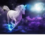 Galexy crew