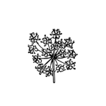 Hemlock