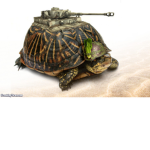 [RBF]Royal British Forces