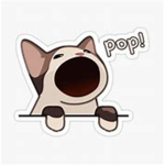 Da PopCat Nation