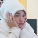 hyunjins hair follicles