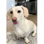 m :p