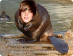 98% of the world would go YA if justin bieber died