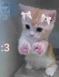 Sanrio_girl123