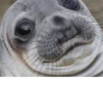 The seal fan group