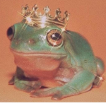 Froggoos Gang