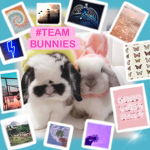 #TEAM BUNNIES