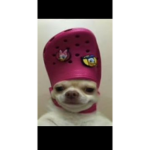 Hello just giving roblox to cali