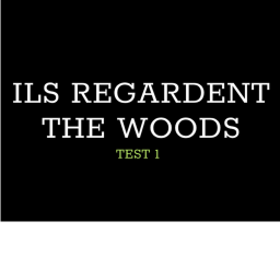 Ils Regardent: The woods (very wip)