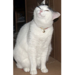 Smug with Me!