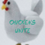CHICKENS UN1TE