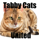 Tabby Cats United