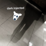 sadge's asylum