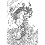 les dragon en robux