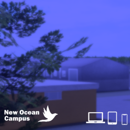 NOA | Campus