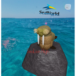 SeaLion High | SWSD