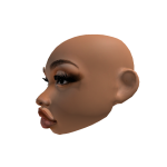 Ari custom