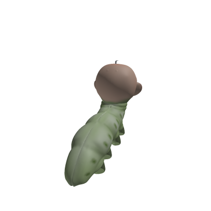 bebelagartarasgaocasulo