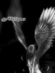 earthsangels/